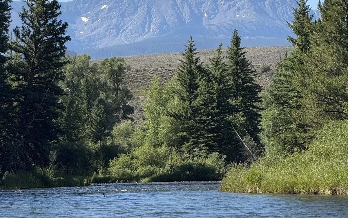 Tailwater Supply Co. brand homepage showcasing hand-tied trout flies against river backdrop