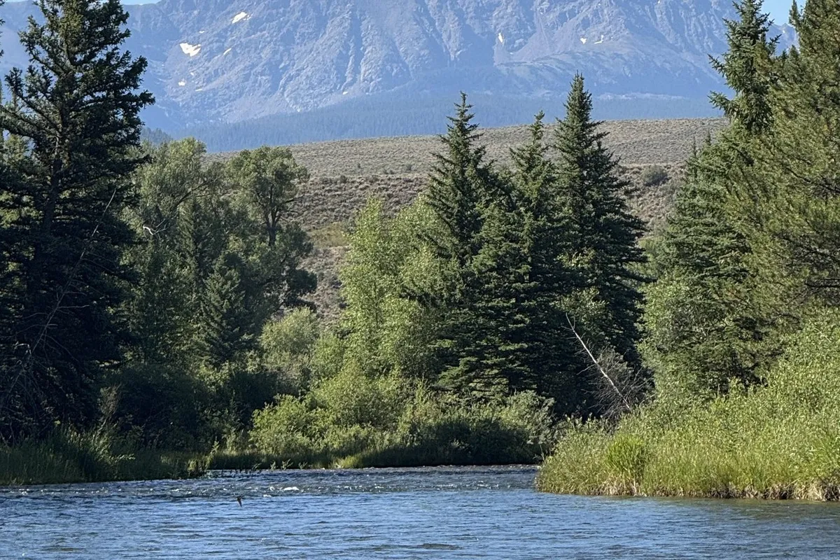 Tailwater Supply Co. brand homepage showcasing hand-tied trout flies against a mountain river backdrop