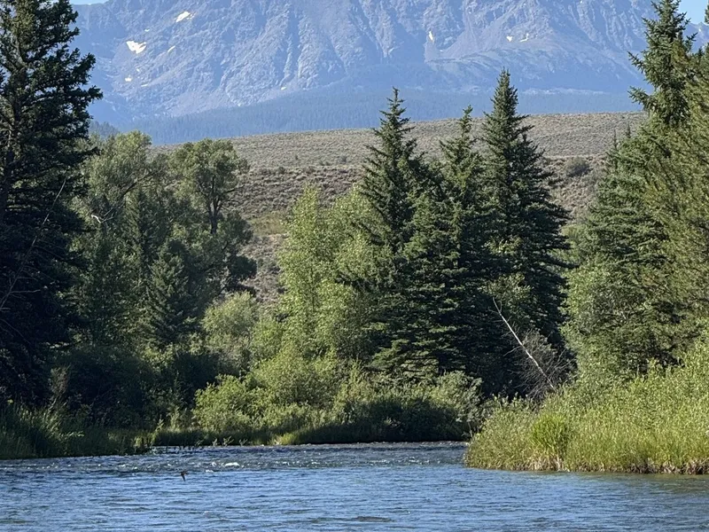 Tailwater Supply Co. brand homepage showcasing hand-tied trout flies against a mountain river backdrop
