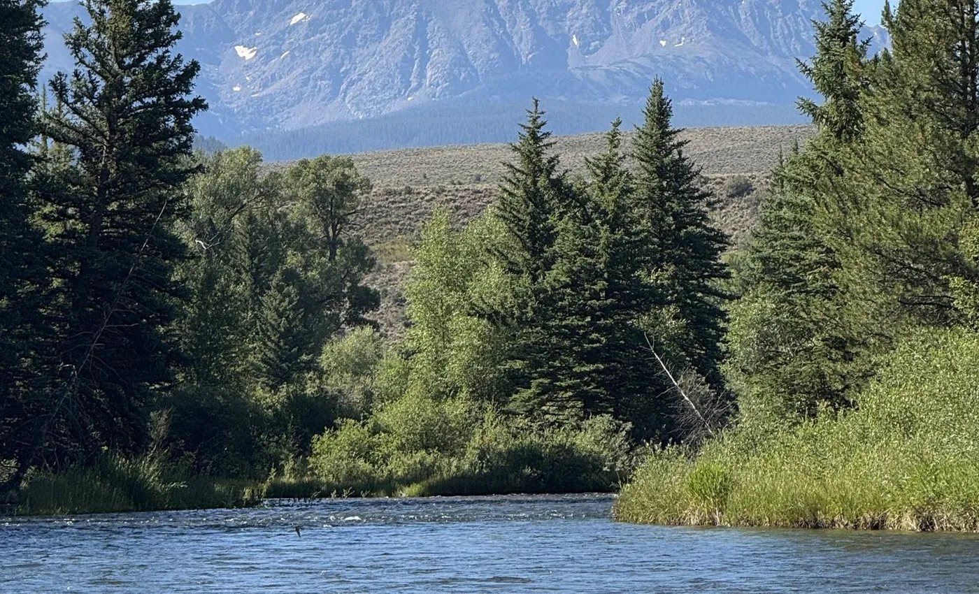 Tailwater Supply Co. brand homepage showcasing hand-tied trout flies against a mountain river backdrop